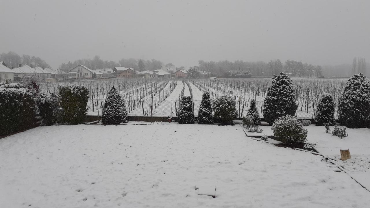 Aux Pieds Des Vignes Bed & Breakfast อิงแกร์ไซม์ ภายนอก รูปภาพ