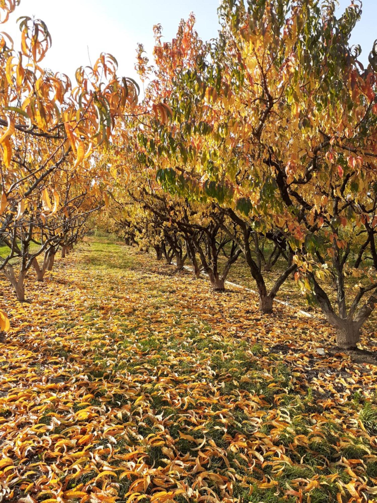 Aux Pieds Des Vignes Bed & Breakfast อิงแกร์ไซม์ ภายนอก รูปภาพ